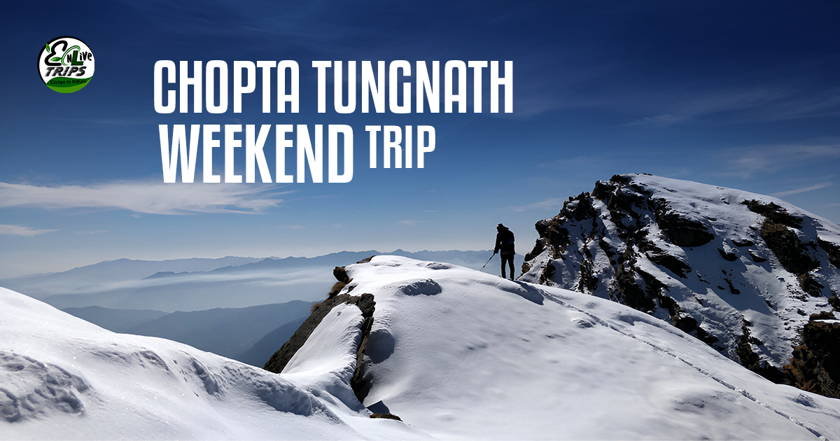 Chopta Tungnath weekend trip